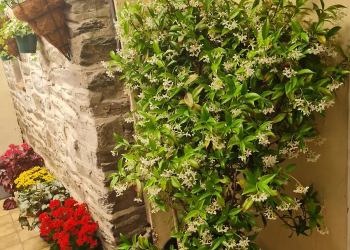 Ouillypontain Pont-d'Ouilly